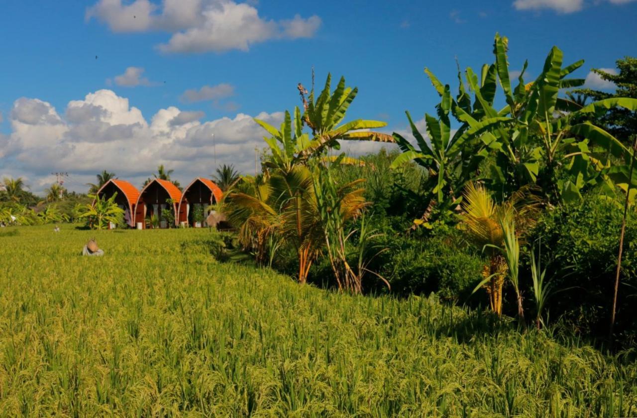 Keramas Surf Camp Exterior foto