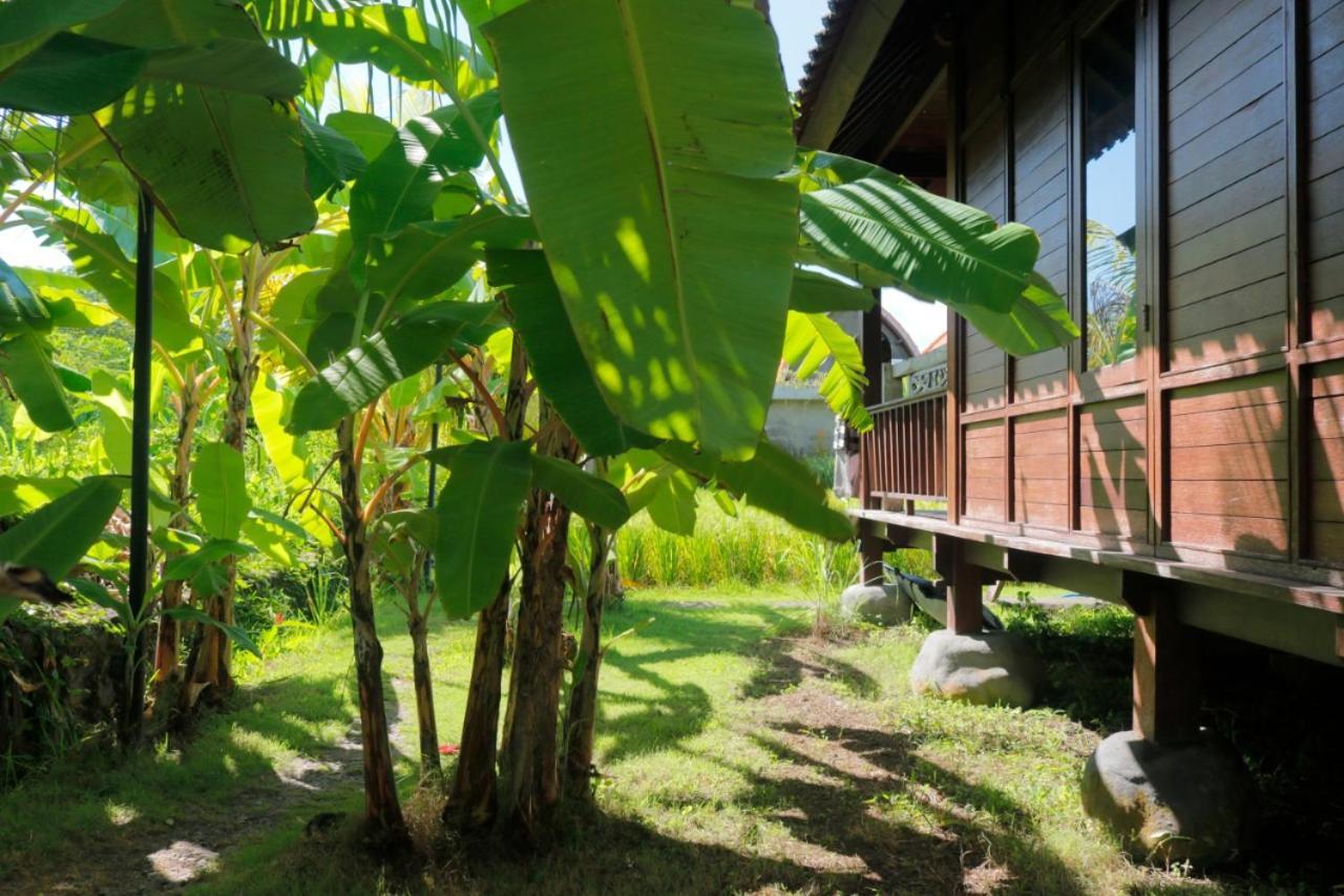 Keramas Surf Camp Exterior foto